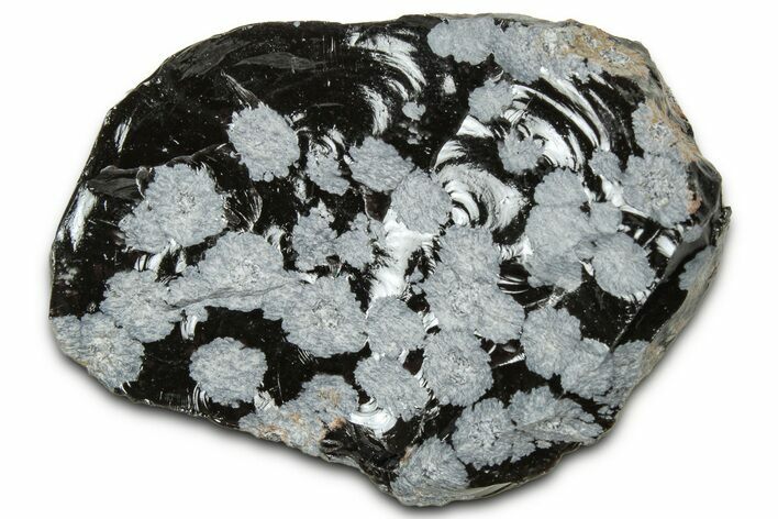 Snowflake Obsidian Section - Utah #327139